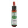 Recovery Remedy 10ml - Ainsworths