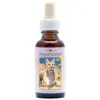 Mountain Lion 30ml. Animal Essences