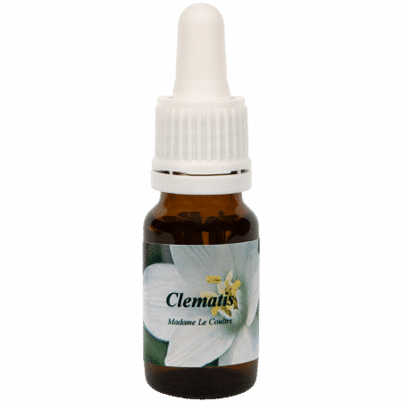 Clematis - Star Remedies Flower Remedies