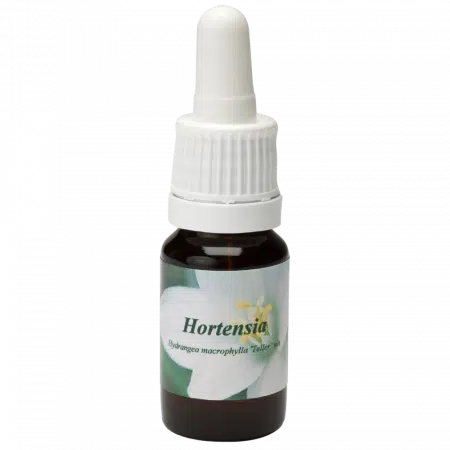 Hortensia - Remedios Florales Star Remedies