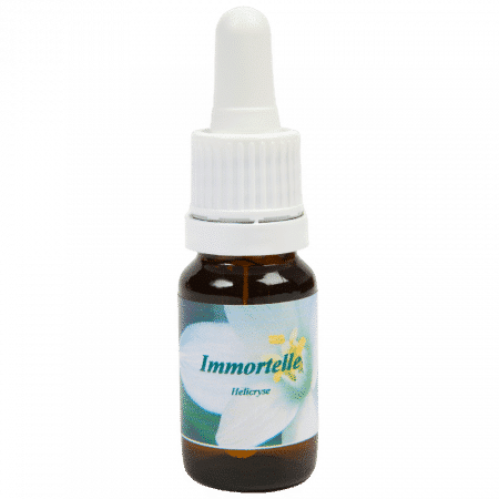Immortelle - Star Remedies Flower Remedies