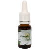 Protection - Star Remedies Flower Remedies