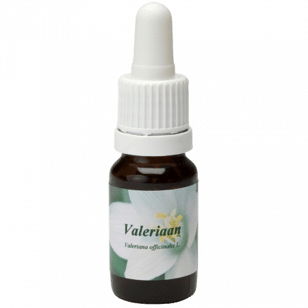 Valerian - Star Remedies Flower Remedies