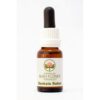 Banksia Robur 15 ml. Australian Bush Flower Essences