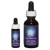 Baby Blue Eyes - Californian FES Flower Essences
