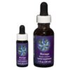 Borage - Californian FES Flower Essences