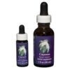 Cayenne - Californian FES Flower Essences