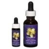 Chaparral - Californian FES Flower Essences
