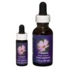 Cosmos - Californian FES Flower Essences