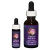 California Wild Rose - Californian FES Flower Essences