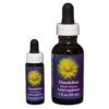 Dandelion - Californian FES Flower Essences