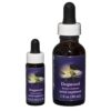 Dogwood - Californian FES Flower Essences