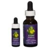 Evening Primrose - Californian FES Flower Essences