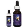 Fawn Lily - Californian FES Flower Essences