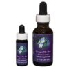 Forget Me Not - Californian FES Flower Essences