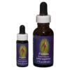 Fuchsia - Californian FES Flower Essences