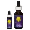 Golden Yarrow - Californian FES Flower Essences