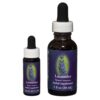 Lavender - Californian FES Flower Essences