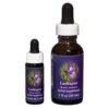 Larkspur - Californian FES Flower Essences