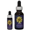 Madia - Californian FES Flower Essences
