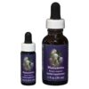 Manzanita - Californian FES Flower Essences
