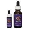 Milkweed - Californian FES Flower Essences