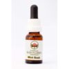 Mint Bush 15 ml. Australian Bush Flower Essences