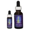 Mugwort - Californian FES Flower Essences