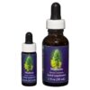 Mullein - Californian FES Flower Essences