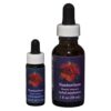 Nasturtium - Californian FES Flower Essences