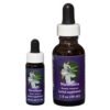 Nicotiana - Californian FES Flower Essences