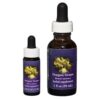 Oregon Grape - Californian FES Flower Essences