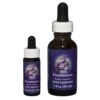 Penstemon - Californian FES Flower Essences
