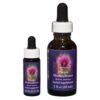 Purple Monkeyflower - Californian FES Flower Essences