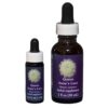 Queen Anne's Lace - Californian FES Flower Essences