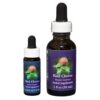 Red Clover - Californian FES Flower Essences