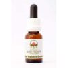 Red Helmet Orchid 15 毫升Australian Bush Flower Essences