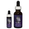 Rosemary - Californian FES Flower Essences