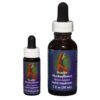 Scarlet Monkeyflower - Californian FES Flower Essences