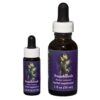 Sagebrush - Californian FES Flower Essences