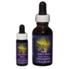 Saint John's Wort - Californian FES Flower Essences