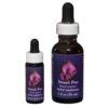 Sweet Pea - Californian FES Flower Essences