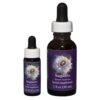Saguaro - Californian FES Flower Essences