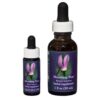 Shooting Star - Californian FES Flower Essences