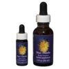 Star Thistle - Californian FES Flower Essences
