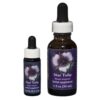 Star Tulip - Californian FES Flower Essences
