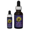 Sunflower - Californian FES Flower Essences