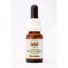 Sundew 15ml Australian Bush Flower Essences