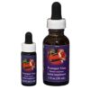 Trumpet Vine - Californian FES Flower Essences - Californian FES Flower Essences