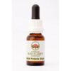 Wild Potato Bush 15 ml. Australian Bush Flower Essences